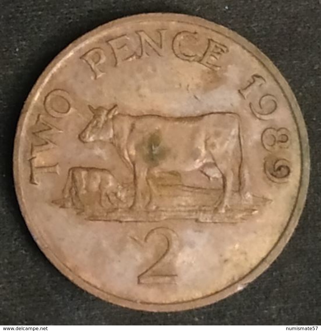 GUERNESEY - 2 PENCE 1989 - Elizabeth II - 3eme Effigie - KM 41 - TWO PENCE - GUERNSEY ( Vache - Cow ) - Guernesey