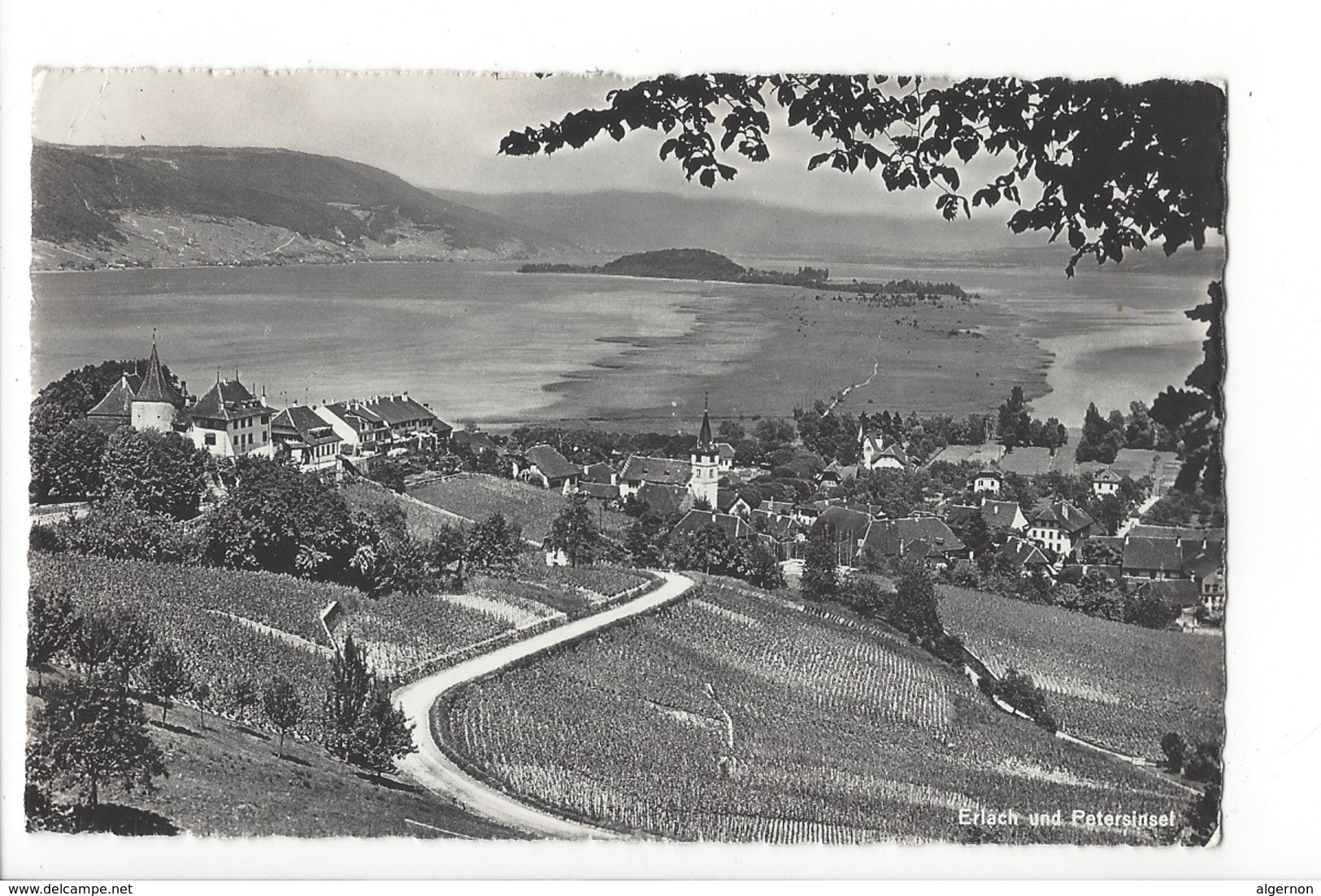 24404 - Erlach Und Petersinsel Cerlier - Cerlier