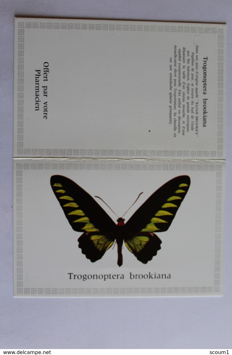 Petit Calendrier 1986  Papillon TROGONOPTERA BROOKIANA - Petit Format : 1981-90