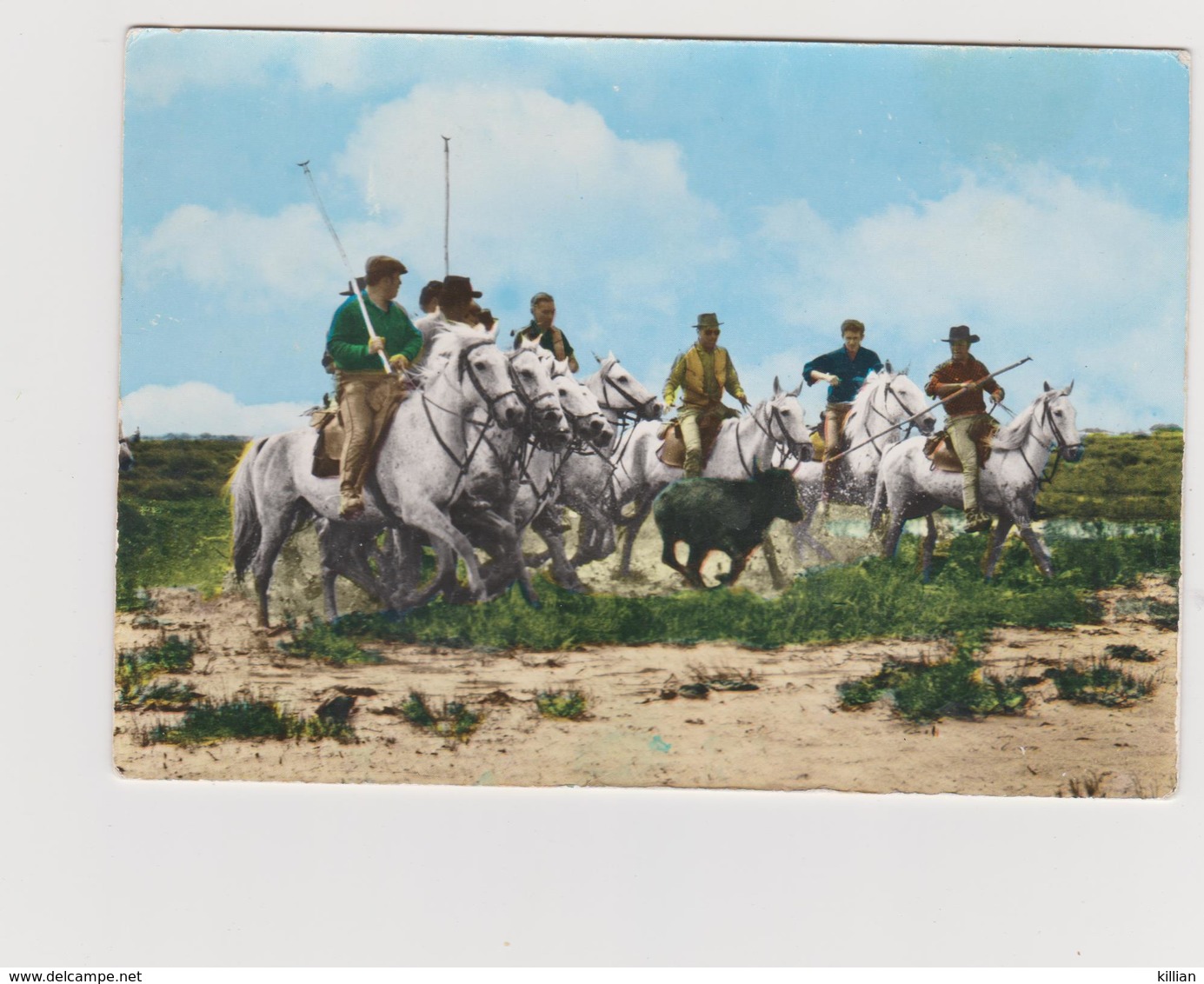 La Camargue La Ferrade D'un Anouble Par Les Gardians - Altri & Non Classificati