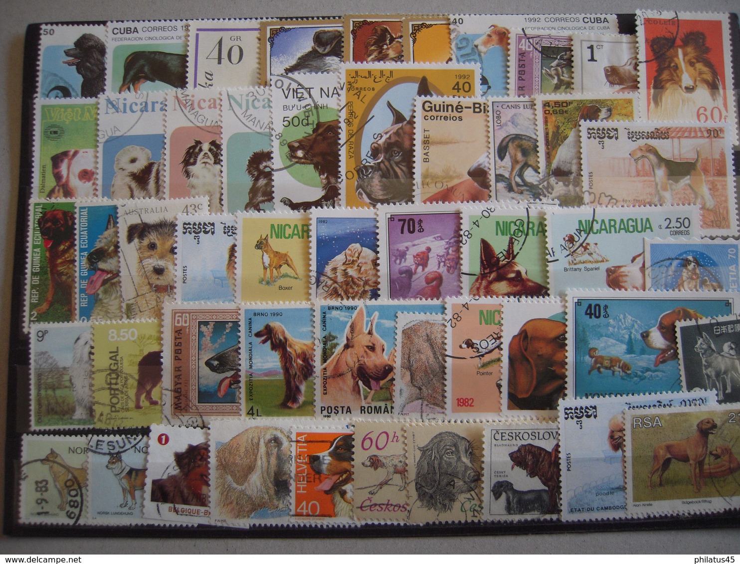 LOT DE 50 TP DIFFERENTS THEME "CHIENS" - Dogs