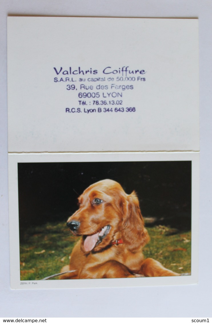 Petit Calendrier 1995  Chien - Petit Format : 1991-00