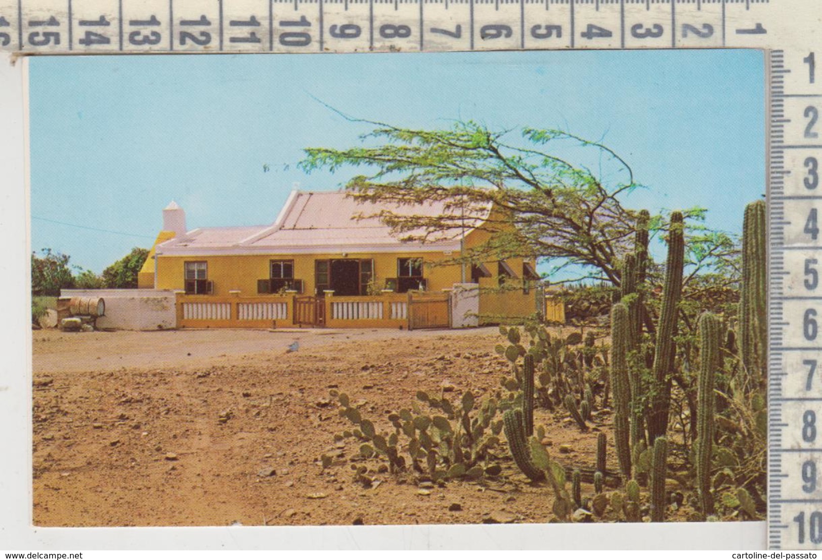 Aruba Antille Typical Aruban Cunucuhouses With Cactus - Aruba