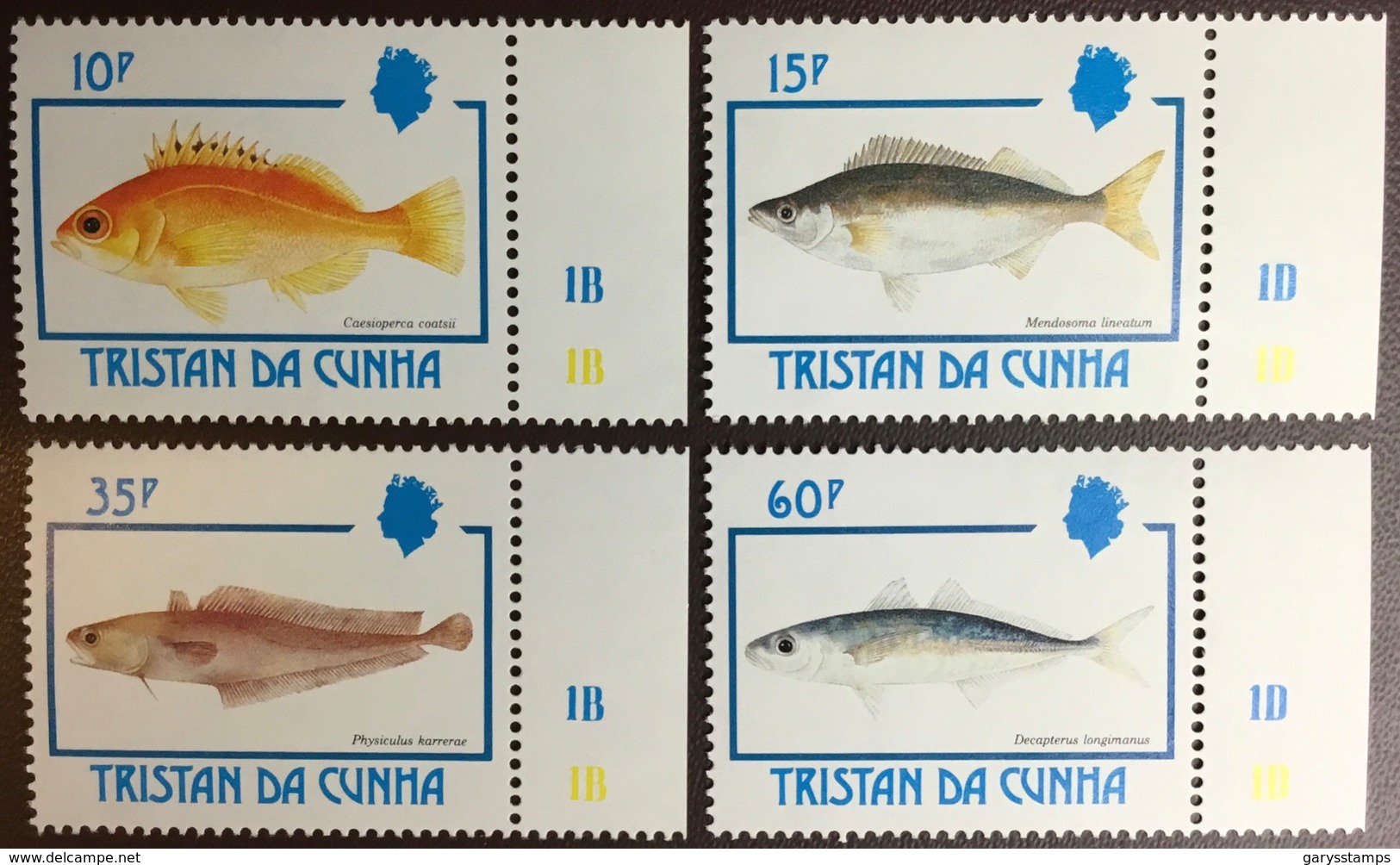 Tristan Da Cunha 1992 Fish MNH - Fische