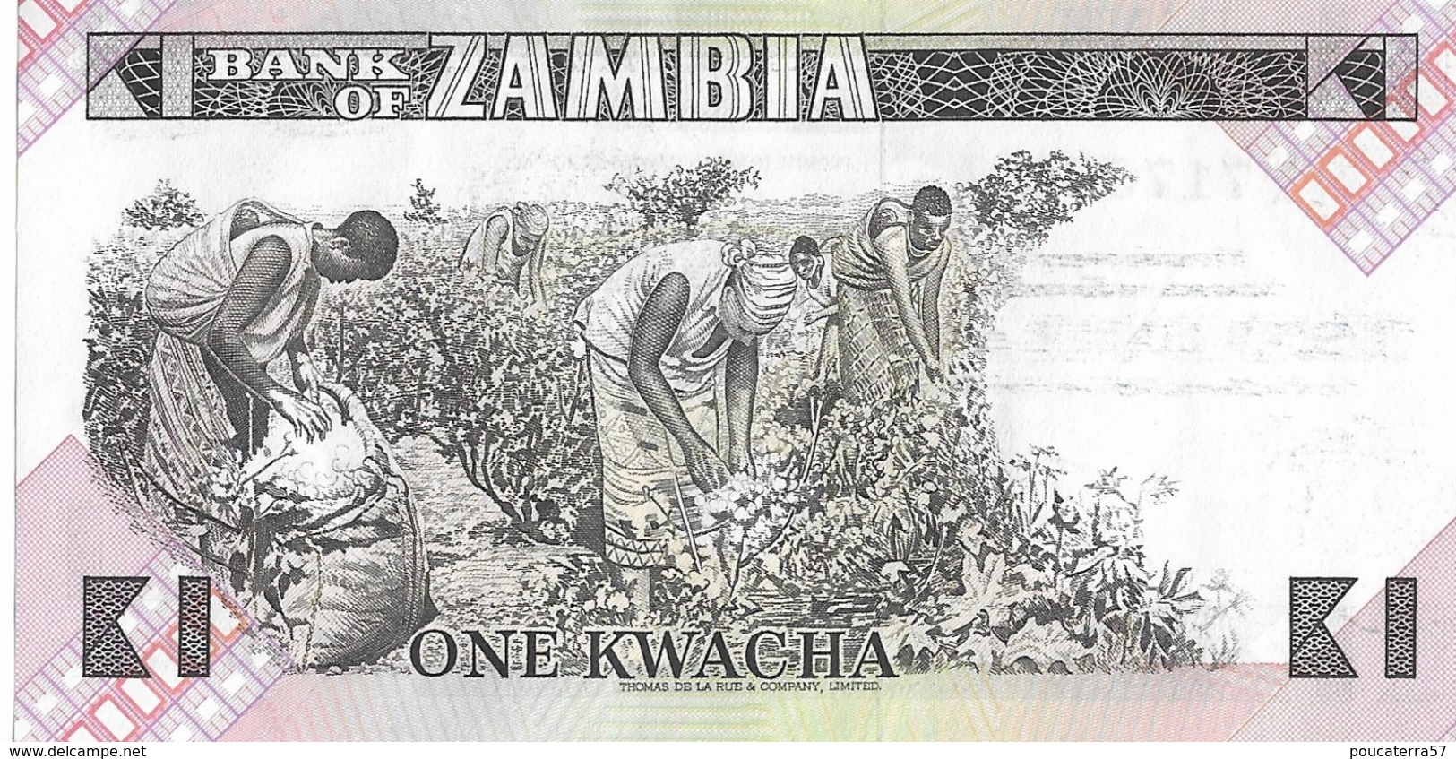 ZAMBIA=N/D    1  KWACHA     P-23     UNC - Zambie