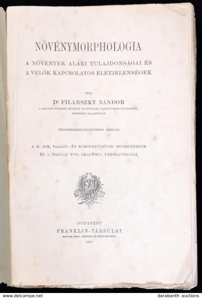 Filarszky Nándor: Növénymorphologia. A Növények Alaki Tulajdonságai és A Velük Kapcsolatos életjelenségek. Bp., 1911, Fr - Non Classés