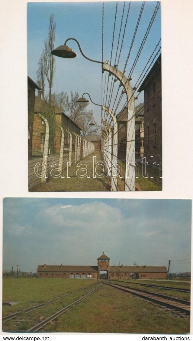 ** 7 Db MODERN Használatlan Képeslap: Auschwitz-Birkenau Koncentrációs Tábor / 7 Modern Unused Postcards: Auschwitz Conc - Non Classés