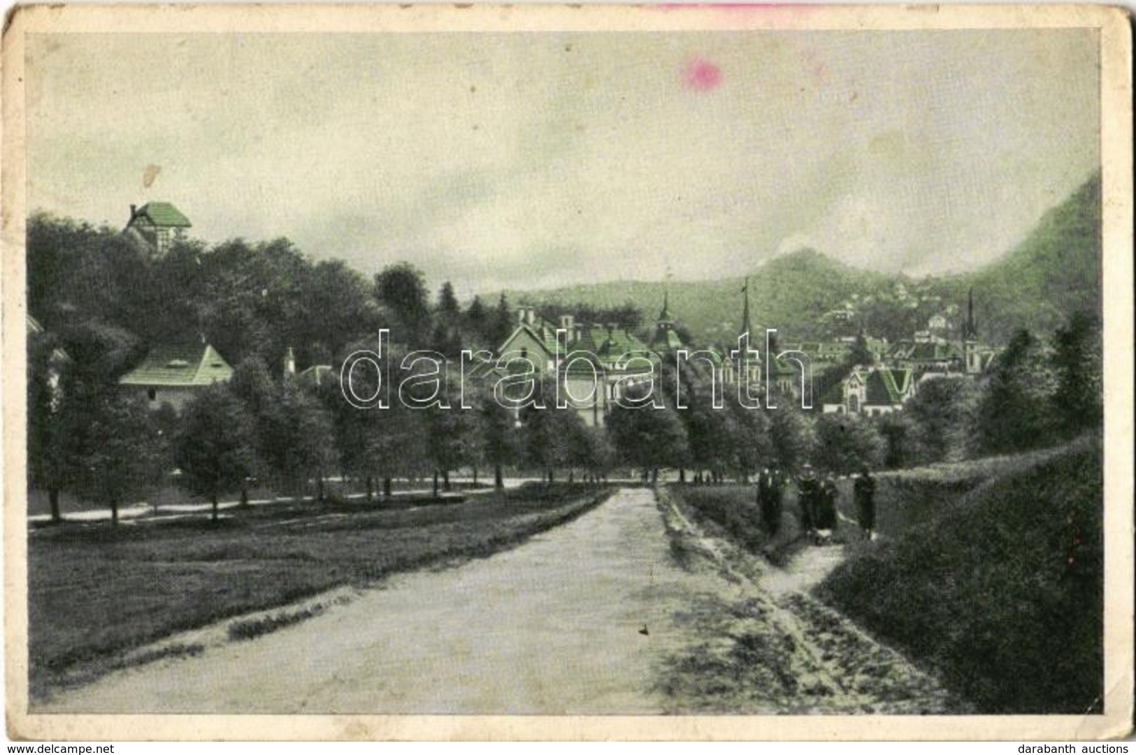 T2/T3 1928 Brassó, Kronstadt, Brasov; Részlet A Postarétről / Postwiese / Livadia Postei (EK) - Non Classés