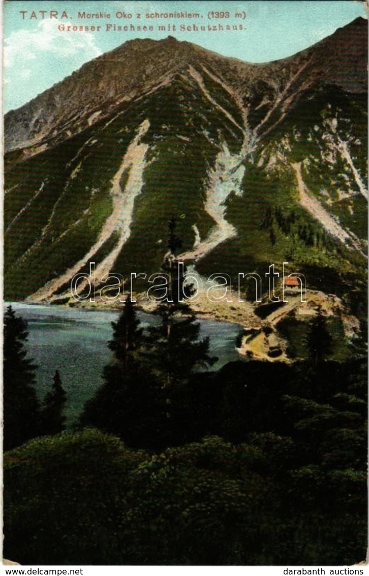 ** T2/T3 Tátra, Vysoké Tatry; Halas-tó, Menház. Edw. Feitzingera No. 825/II. 1905. / Fischsee, Schutzhaus / Morskie Oko, - Non Classés