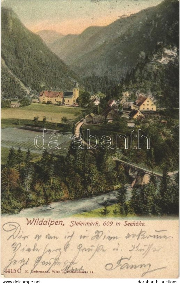 T2 1905 Wildalpen, General View, Bridge. K. Ledermann 4415 C - Non Classés