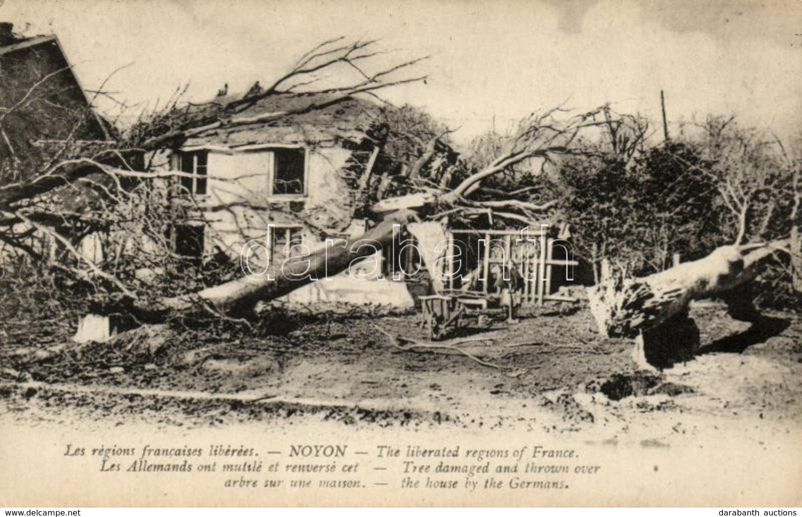 ** T2 Noyon, Trees Damaged And Thrown Over The House By The Germans - Non Classés