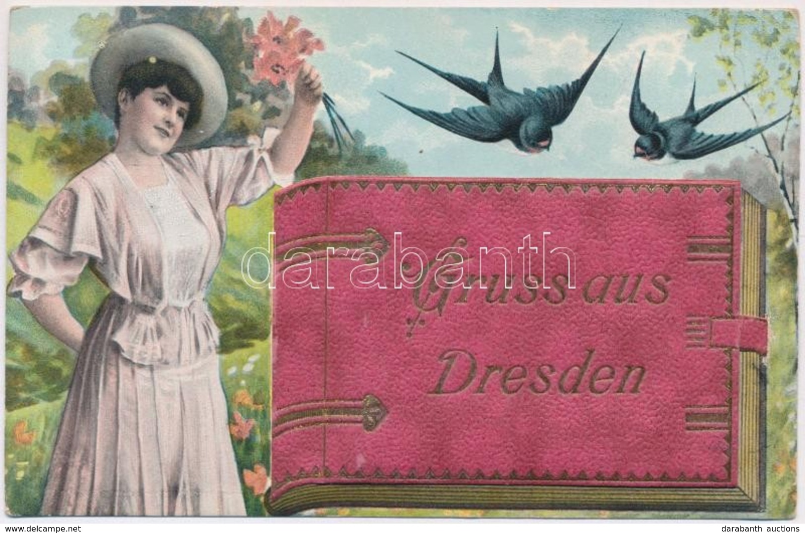 T2/T3 Dresden. Gruss Aus... Leporellocard With, Book, Lady And Swallows (EK) - Non Classés