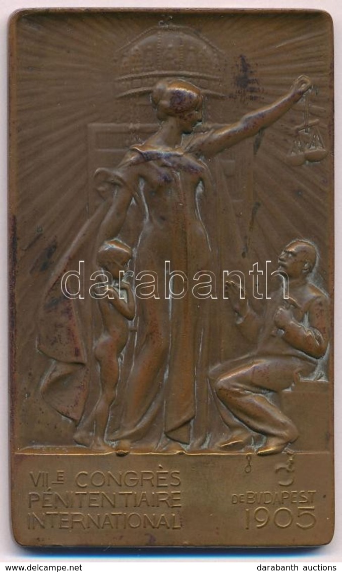 Telcs Ede (1872-1948) 1905. "VII. Nemzetközi Büntetés-végrehajtási Kongresszus / Budapest" Br Plakett (82x50mm) T:2,2- H - Non Classés