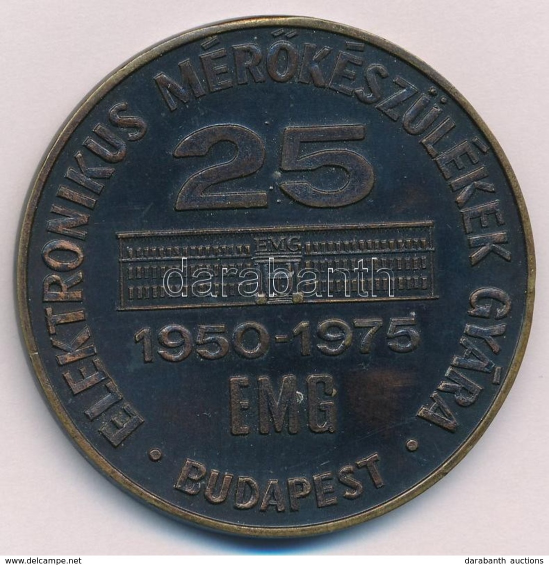 1975. "Elektronikus Mérőkészülékek Gyára - 25 éves" Egyoldalas Fém Emlékplakett, Hátlapon Gravírozva "FOCH JENŐ ELVTÁRSN - Ohne Zuordnung