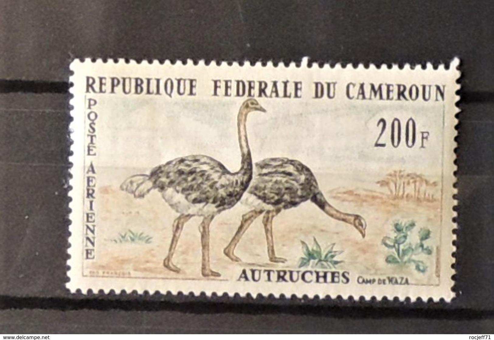 03 - 20 // Cameroun  PA N° 55 **  - MNH - TB - Autruche - Cameroun (1960-...)