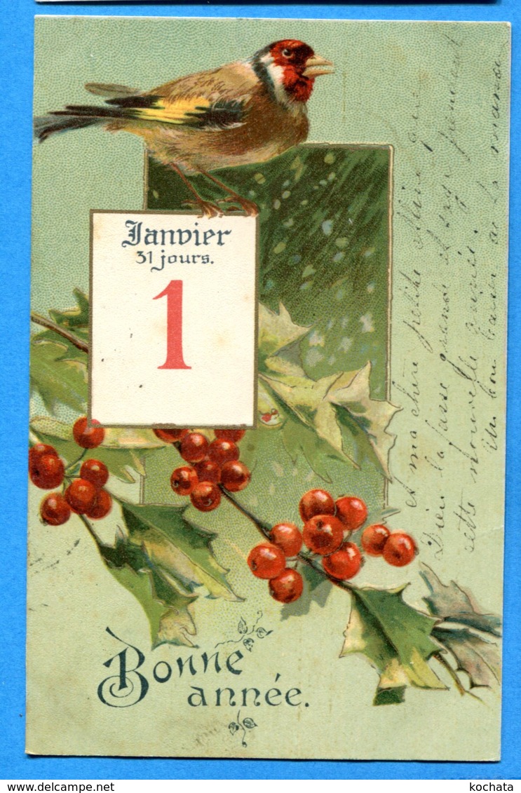 NY561, Bonne Année, 1er Janvier, Oiseau, Bird , Chardonneret élégant, Précurseur, Circulée 1904 - New Year