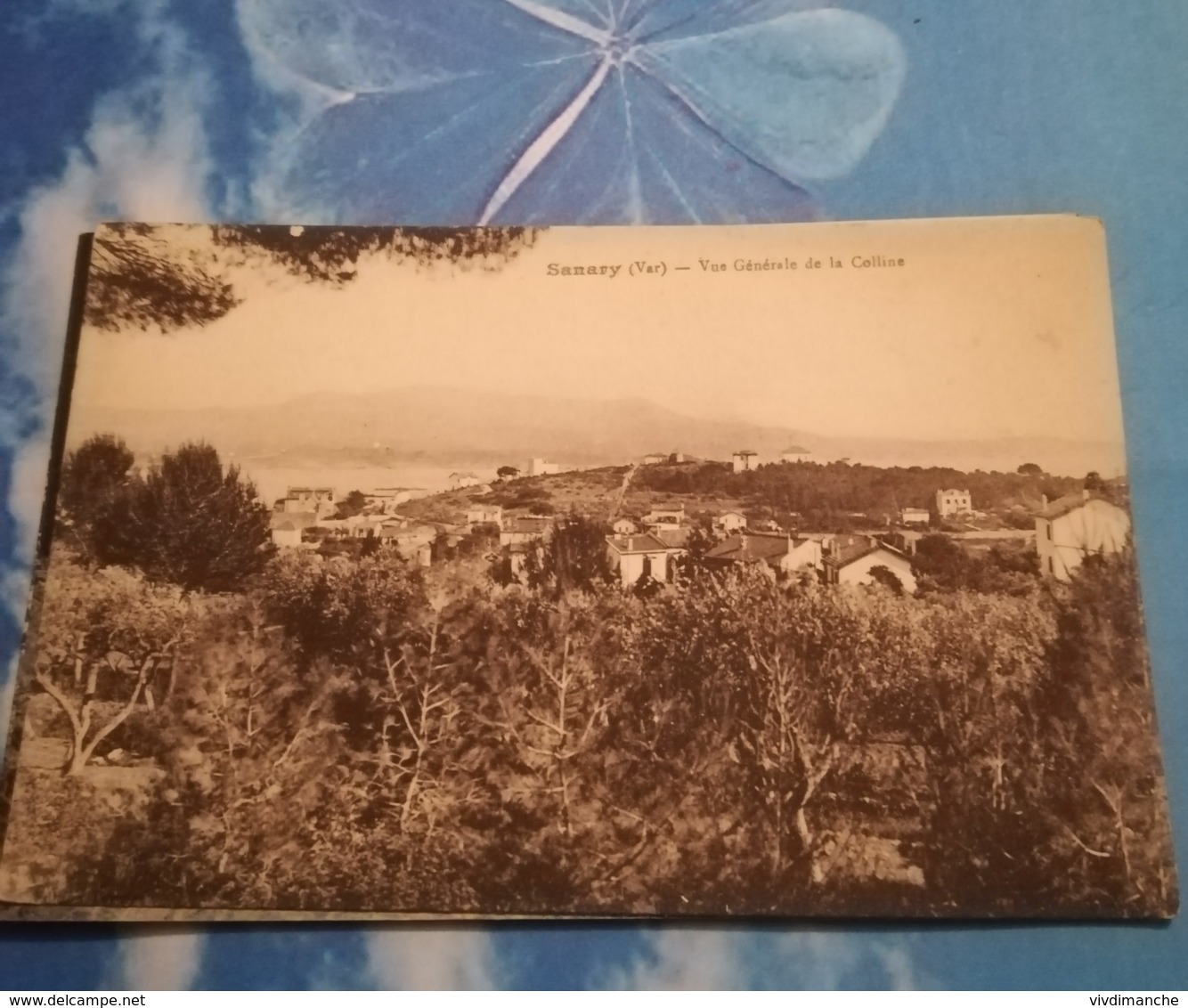 83 - SANARY - VUE GENERALE DE LA COLLINE - VUE PLUS RARE - CPA ANIMEE - Sanary-sur-Mer