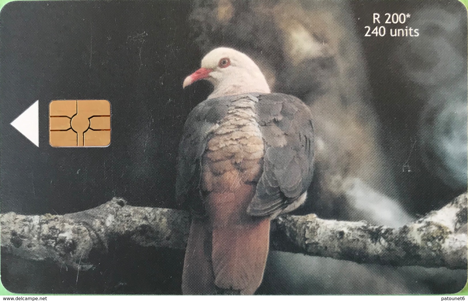 MAURICE  -  Phonecard  - Pink Pigeon  -  240 Units  -  R 200 - Mauricio
