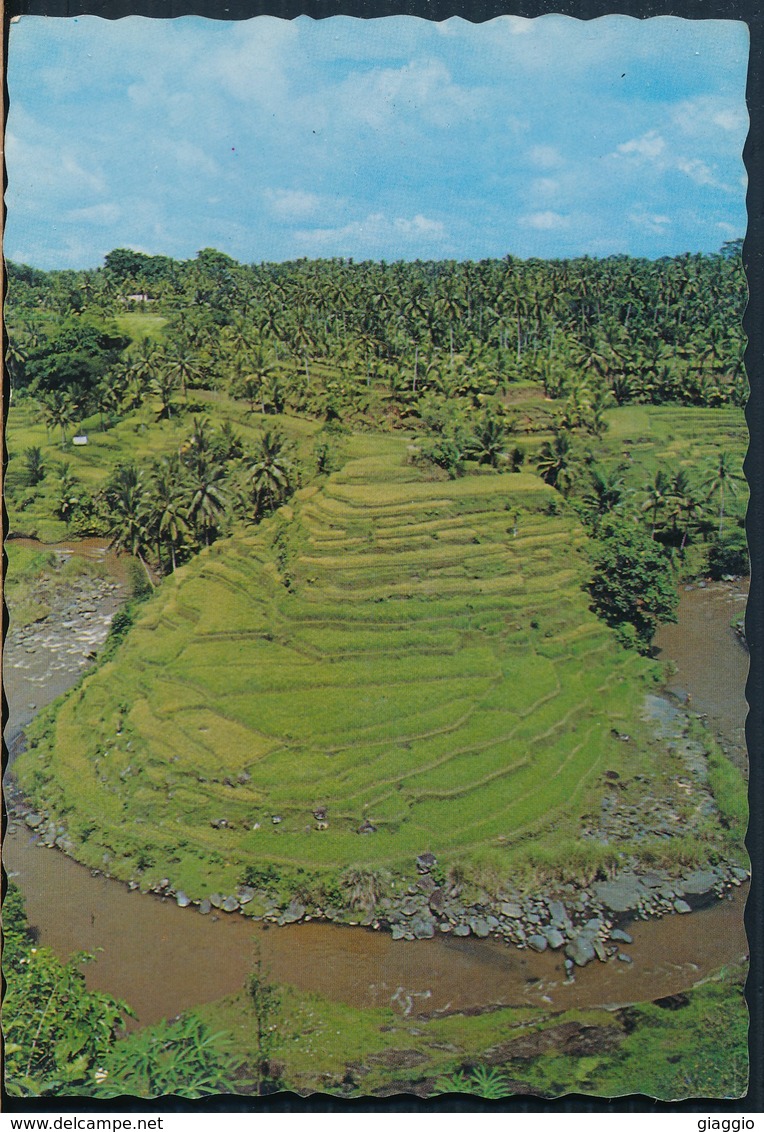 °°° 20256 - INDONESIA - SAWAH BERTINGKAT DIDESA SAYAN , BALI °°° - Indonesia