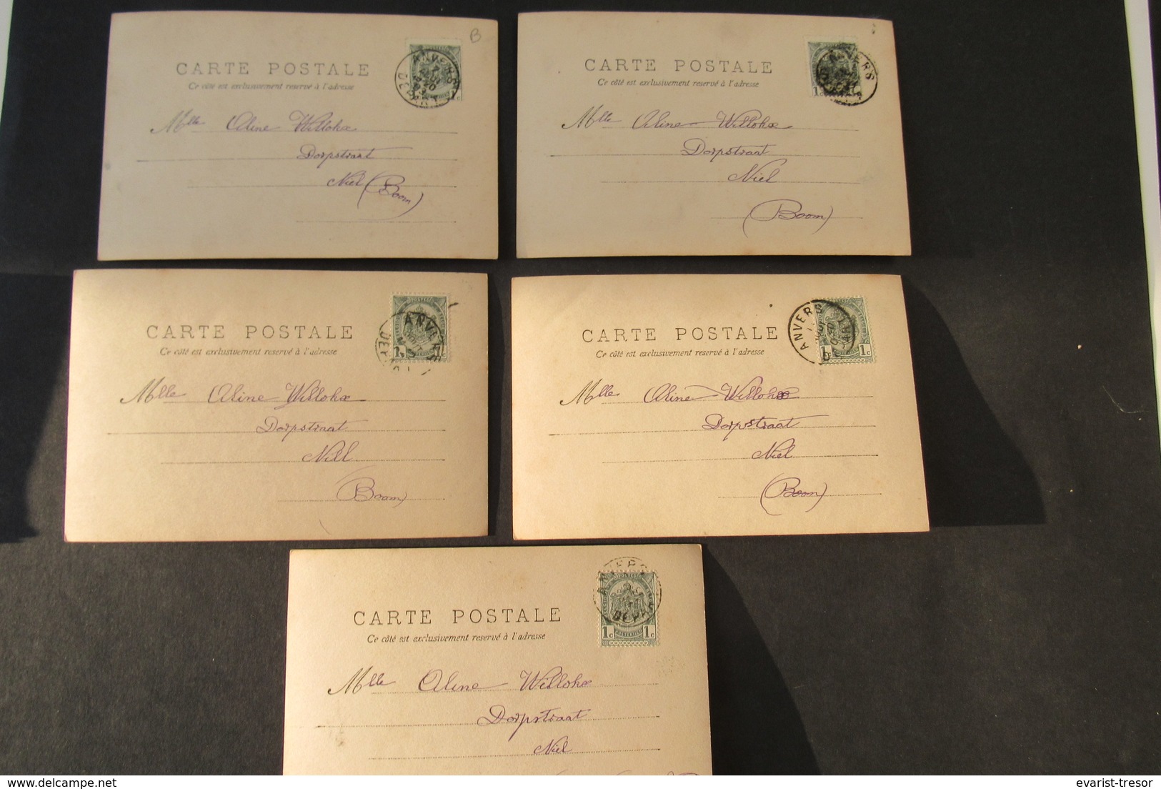 Carte Postale Serie 5 Cartes Complet Pecheur Vis Poison 1903 - Pêche