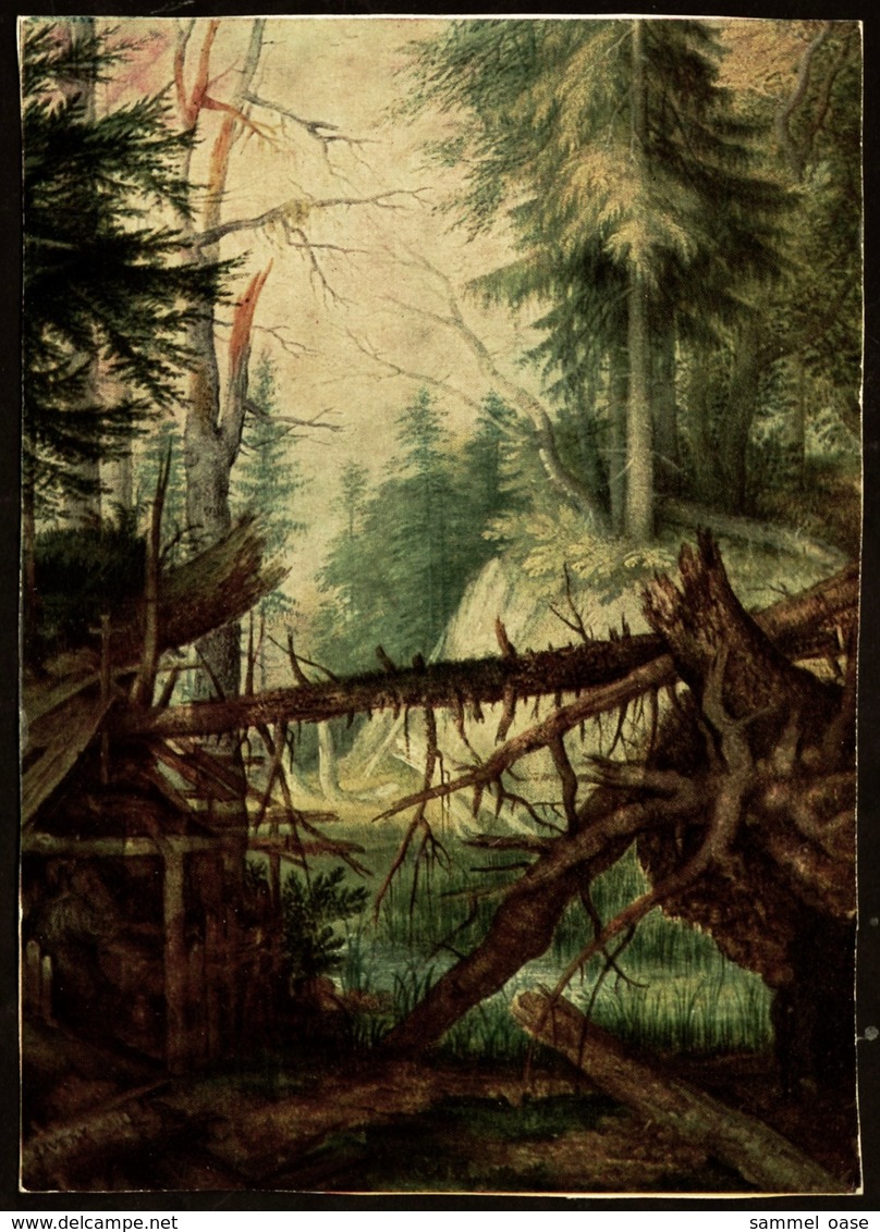 Roelant Savery  -  Waldlandschaft Mit Eremit ( Detail )  -  Buchheim Kunstkarte  -  Ansichtskarte Ca. 1990  (12543) - Malerei & Gemälde