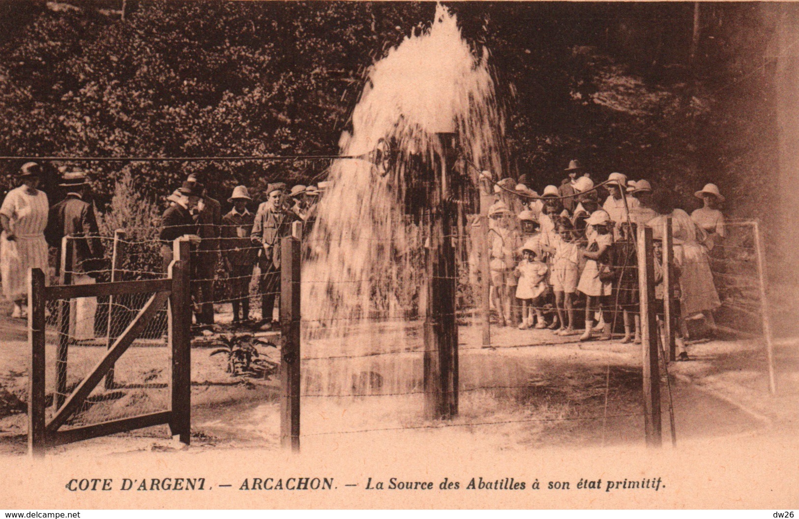 Arcachon (Côte D'Argent) La Source Des Abatilles à Son état Primitif - Carte Sépia Non Circulée - Arcachon