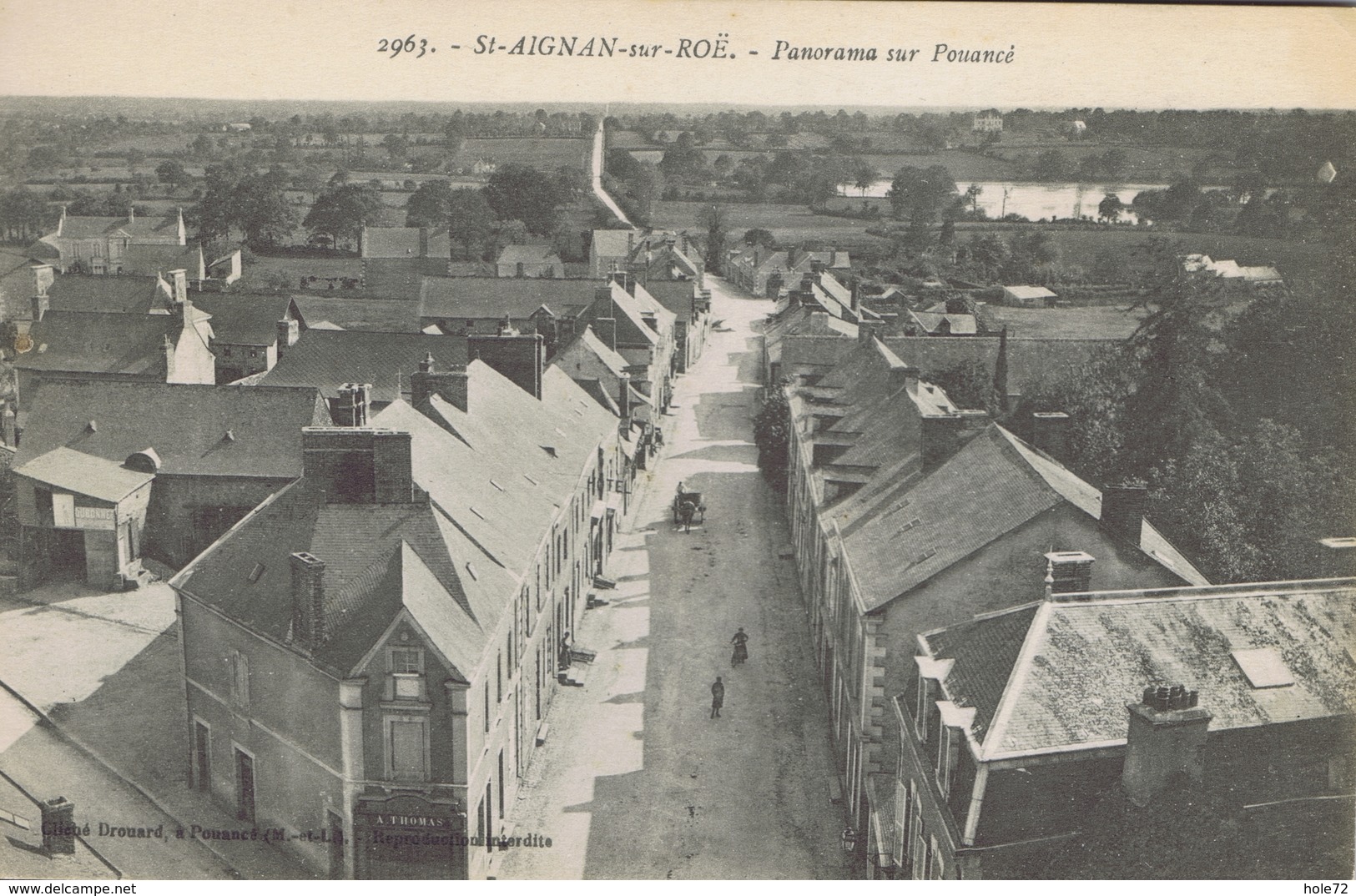 53 - Saint-Aignan-sur-Roë (Mayenne) - Panorama Vers Pouancé - Saint Aignan Sur Rö