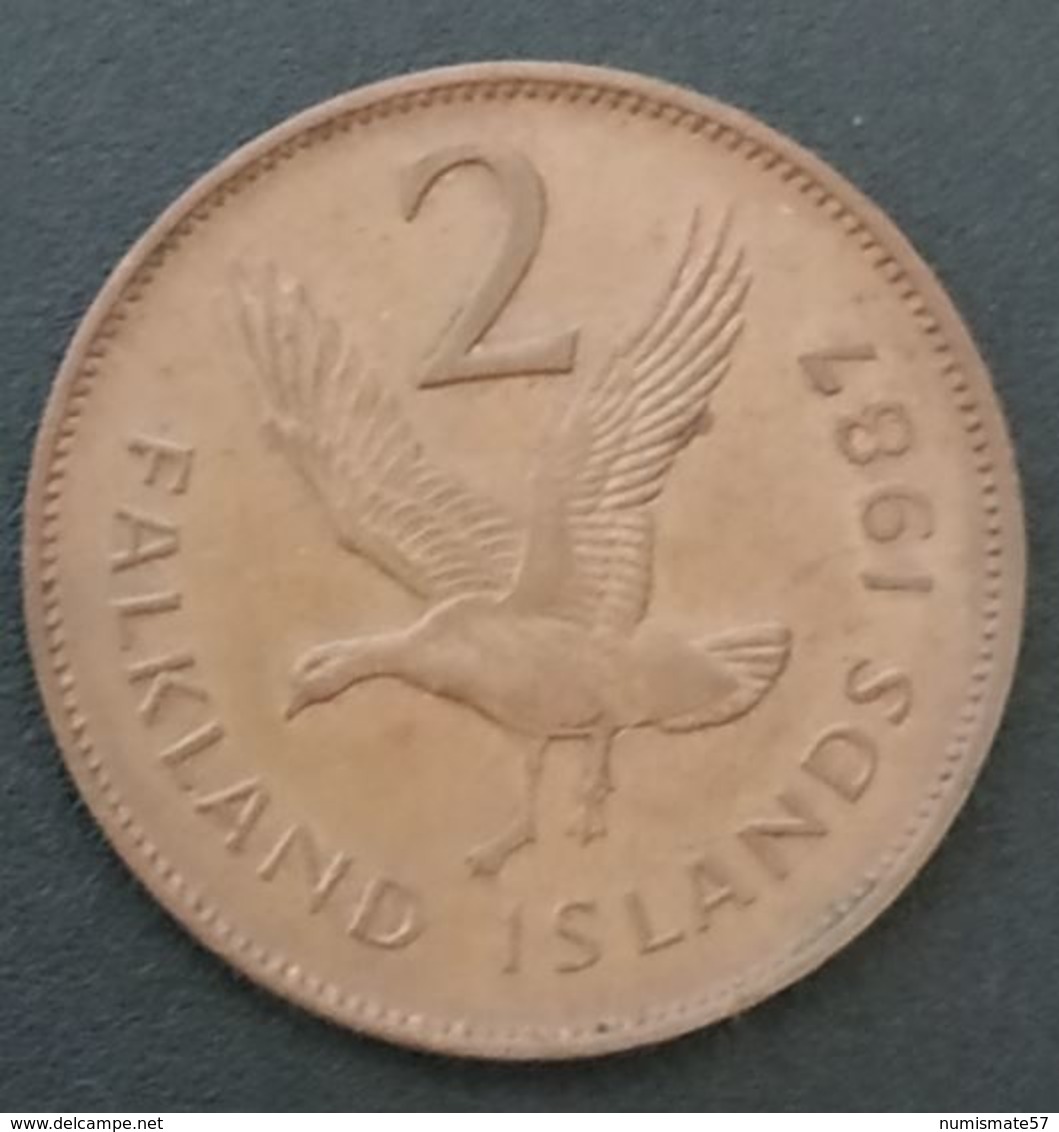 FALKLAND ISLANDS - 2 PENCE 1987 - Elizabeth II - 2eme Effigie - KM 3 - ( Îles Malouines ) - Falkland