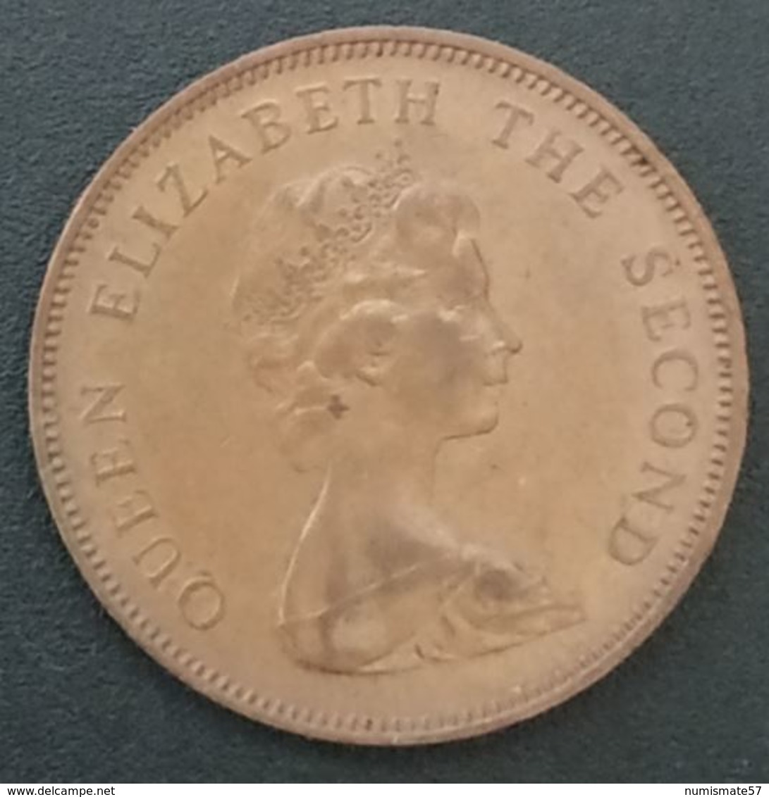 FALKLAND ISLANDS - 2 PENCE 1987 - Elizabeth II - 2eme Effigie - KM 3 - ( Îles Malouines ) - Falkland