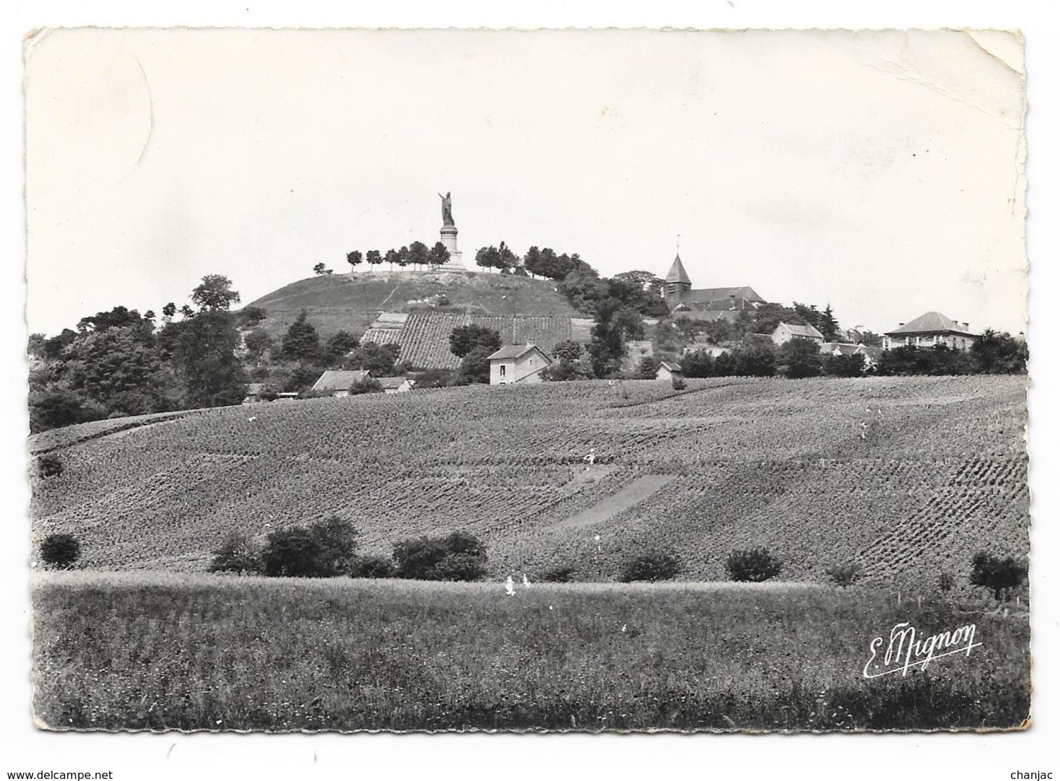 Cpsm: 51 CHATILLON SUR MARNE (ar. Reims) Les Vignes Du Côteau De Chatillon  1956  Ed E. Mignon  N° 4194 - Châtillon-sur-Marne