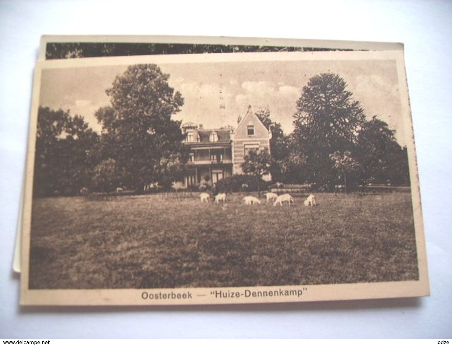 Nederland Holland Pays Bas Oosterbeek Met Huize Dennenkamp Oud - Oosterbeek