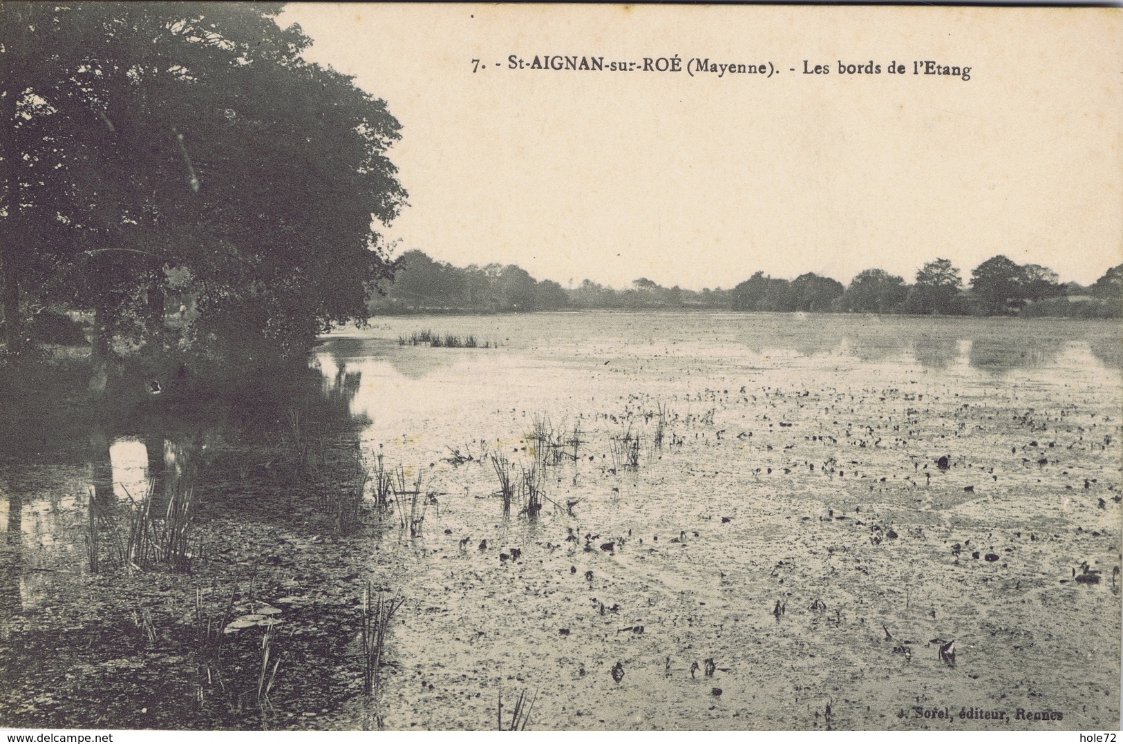 53 - Saint-Aignan-sur-Roë (Mayenne) - Les Bords De L'Etang - Saint Aignan Sur Rö