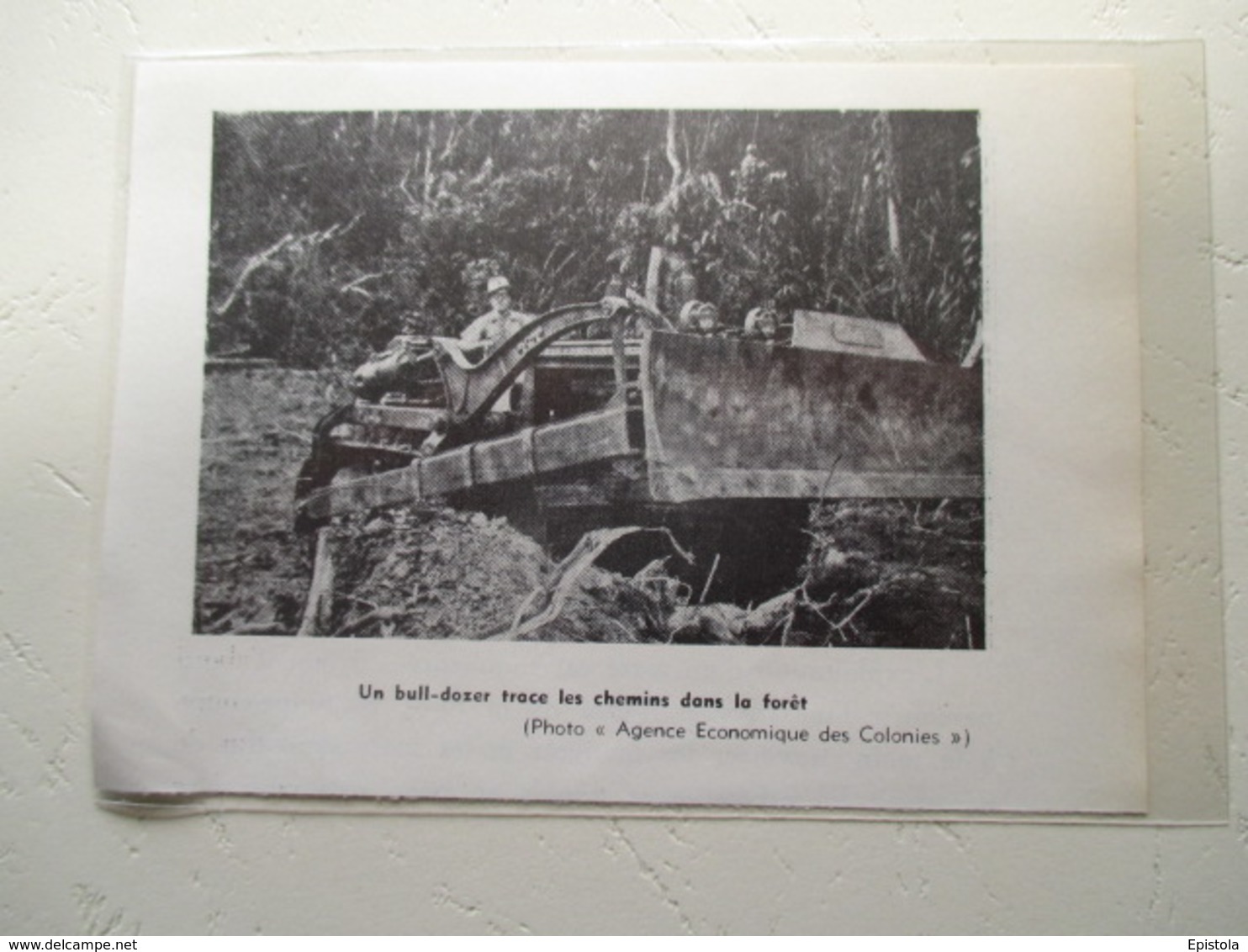 CAMEROUN - Tracteur Bulldozer  Colonial Forestier - Coupure De Presse De 1953 - Trattori