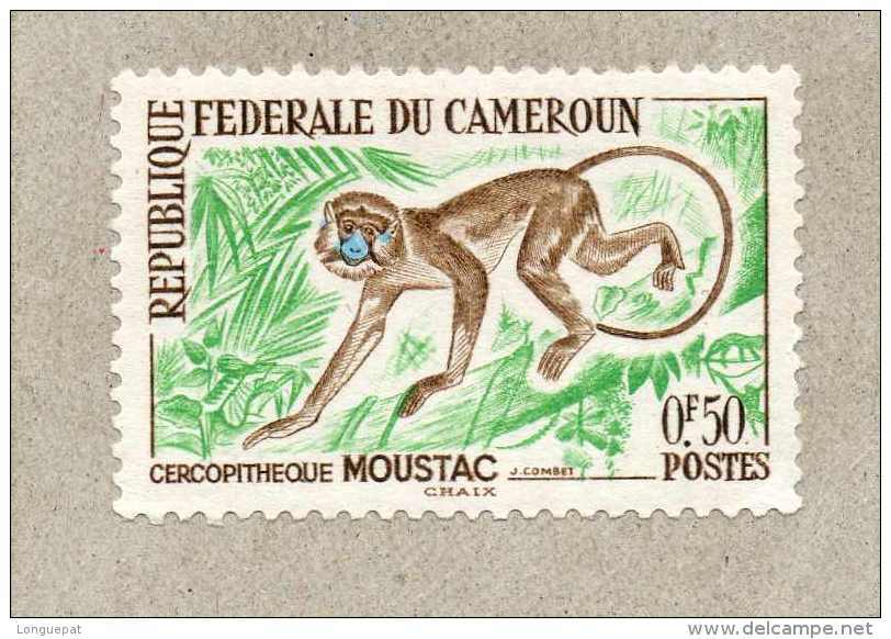 CAMEROUN : Cercopithèque(Cercopithecus) - Singe - Primate - Mammifères - - Cameroun (1960-...)