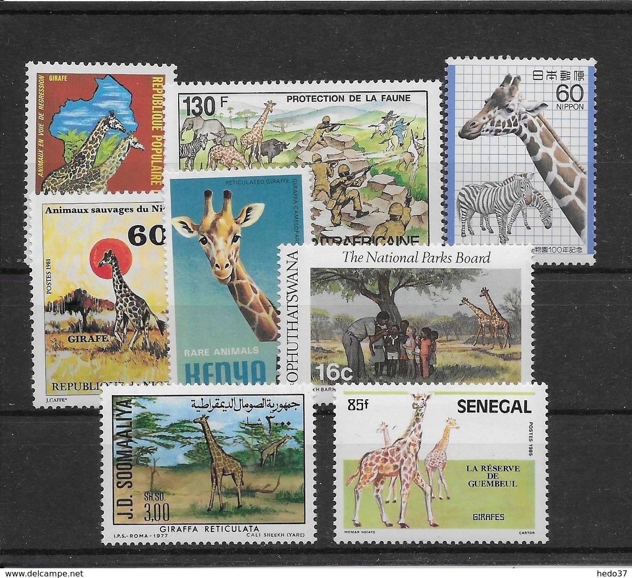 Thème Animaux - Girafes - Collection Timbres Neufs ** Sans Charnière - Tous Pays - TB - Giraffes
