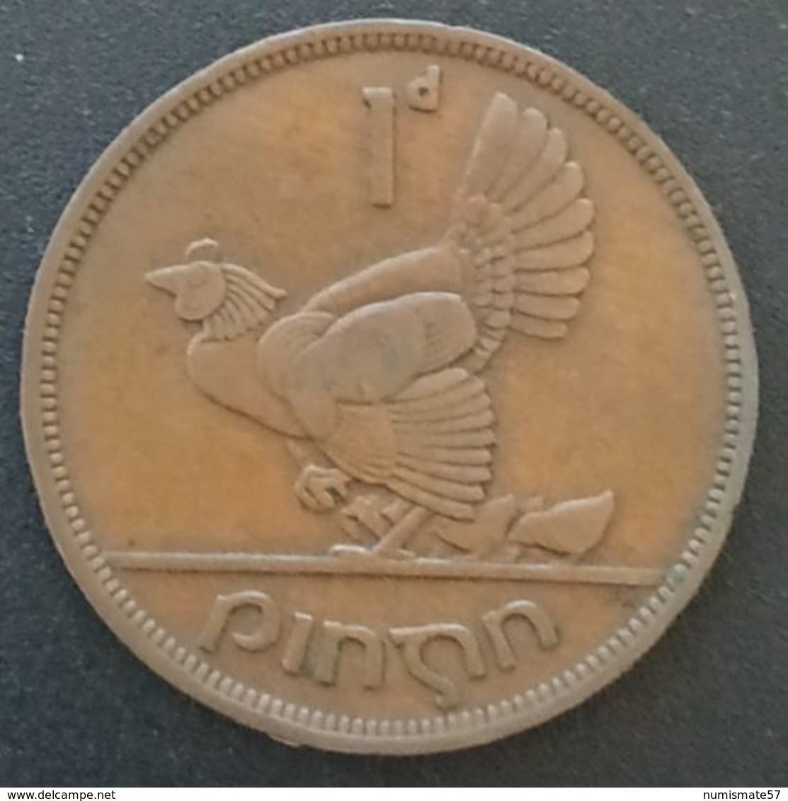 IRLANDE - EIRE - 1 PINGIN 1942 - KM 11 - PENNY - IRELAND - Irlande