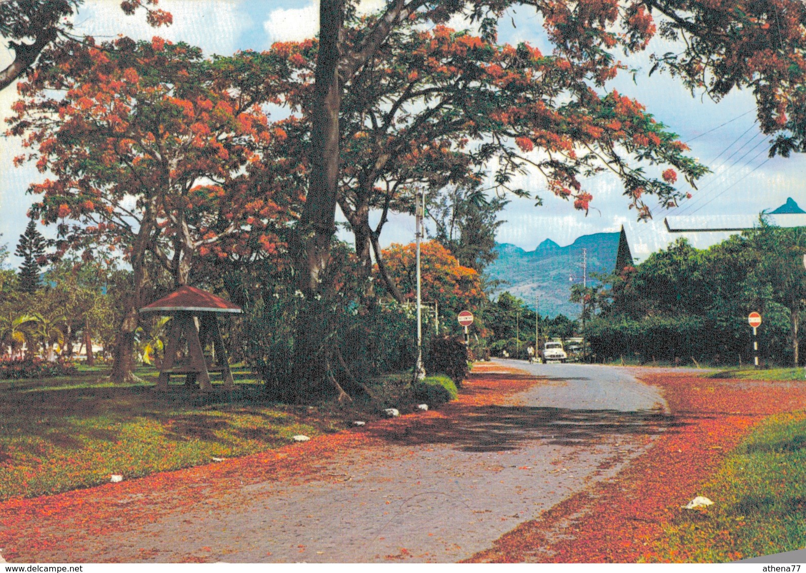 MAURICE - PORT LOUIS / ROBERT EDWARD HART GARDEN - Maurice