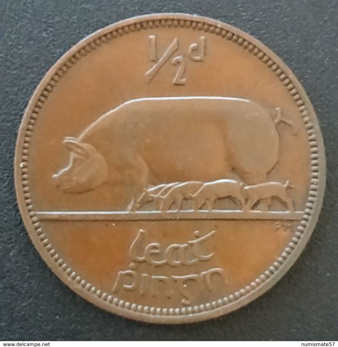 IRLANDE - EIRE - ½ - 1/2 PINGIN 1941 - KM 10 - PENNY - Cochon - Pig - IRELAND - Irlande