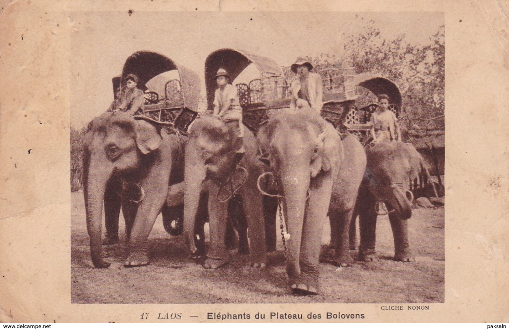 LAOS - Eléphants Du Plateau Des Bolovens Partie De Vientiane En 1937 Indochine Asie Elephant - Laos