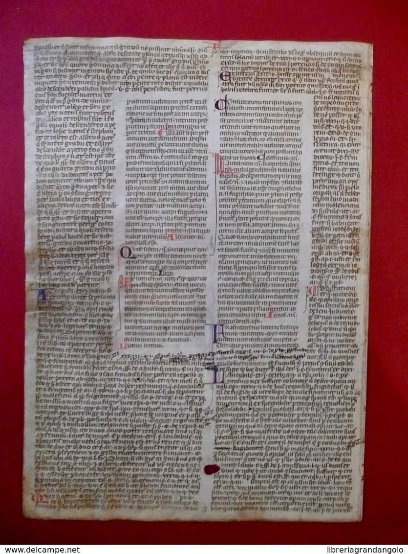 Manoscritto Pergamena Pagina Miniata Capilettera Testo Sacro (?) Legatura - Unclassified