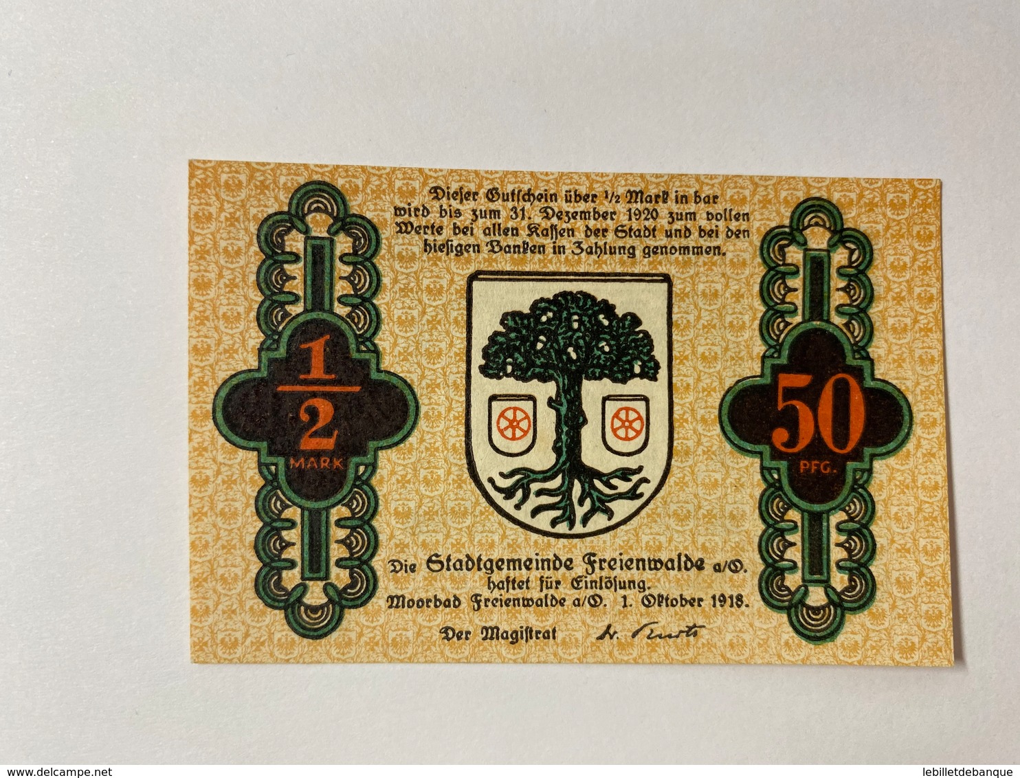 Allemagne Notgeld Freienwalde 50 Pfennig - Collections