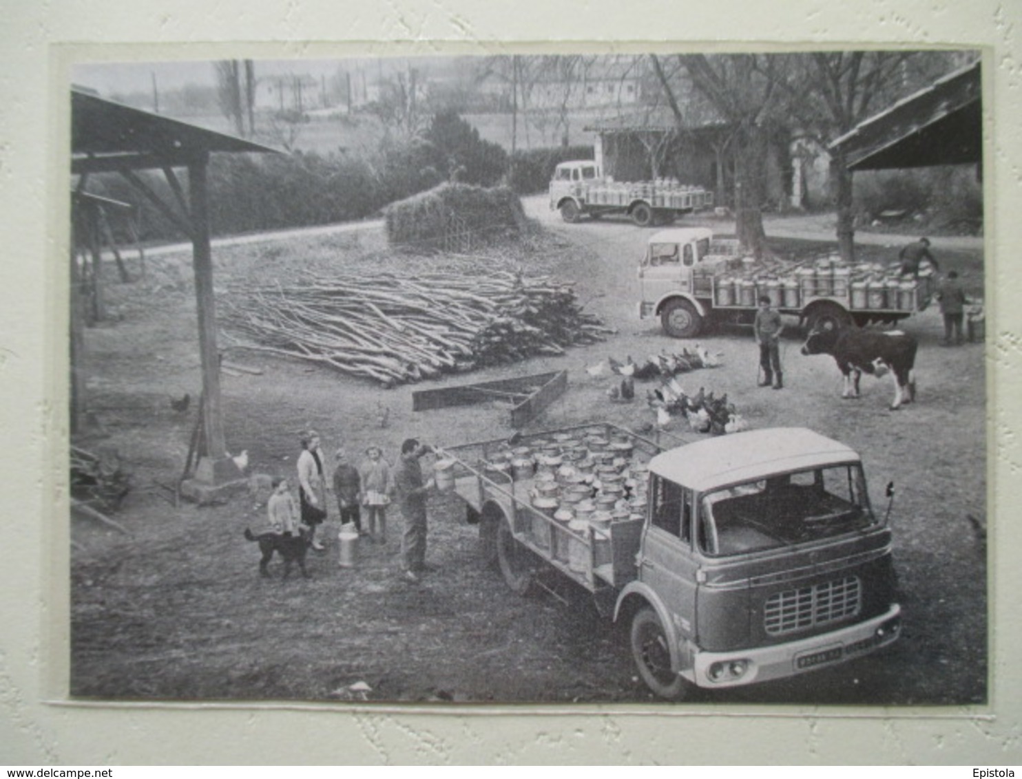 Transport Utilitaire - Neufchatel En Bray   Camion BERLIET  Laitier Ets Picquier - Coupure De Presse De 1964 - Camions