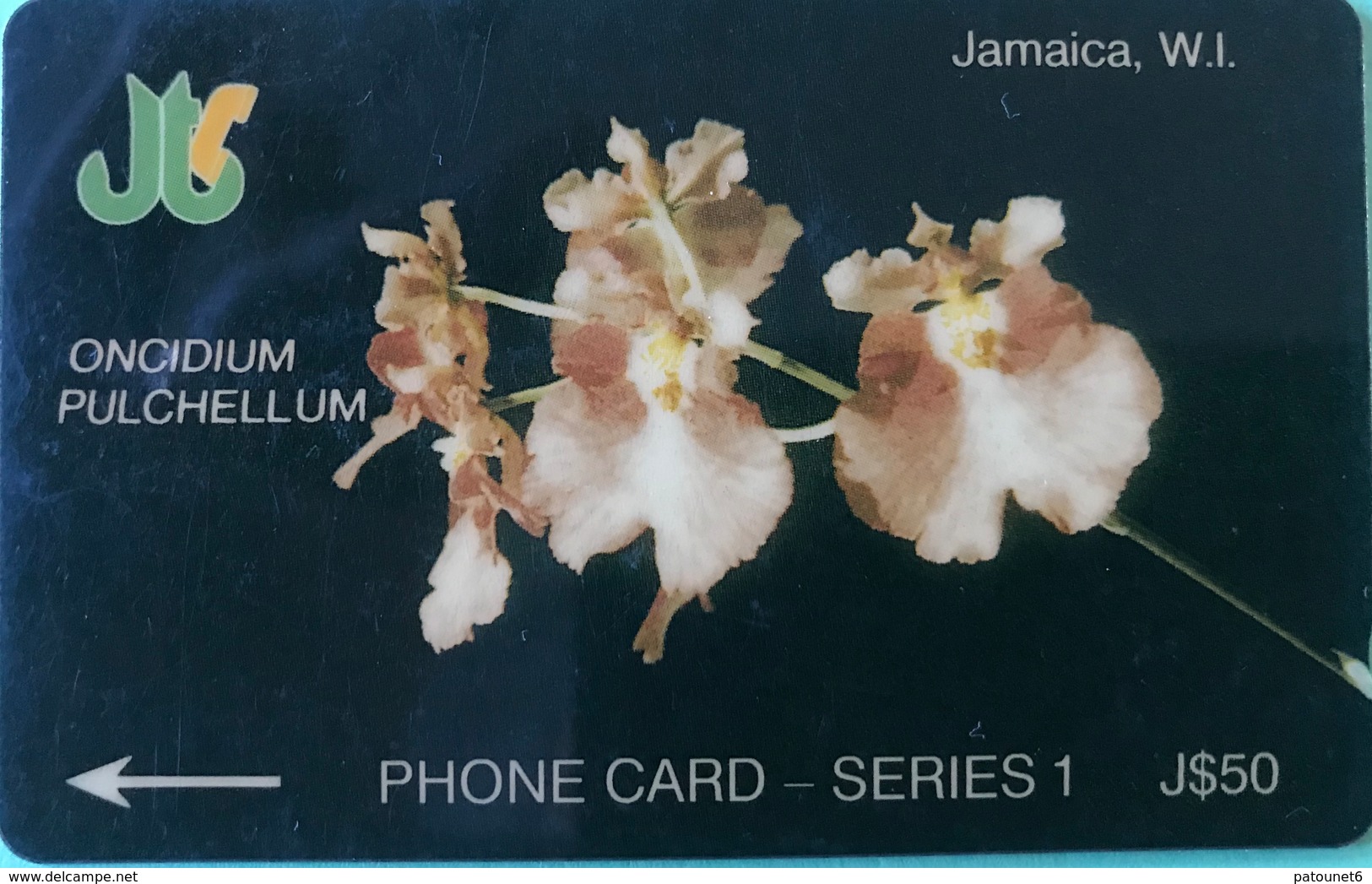 JAMAÏQUE  -  Phonecard  -  Oncidium Pulchellum  -  J $ 50 - Jamaïque