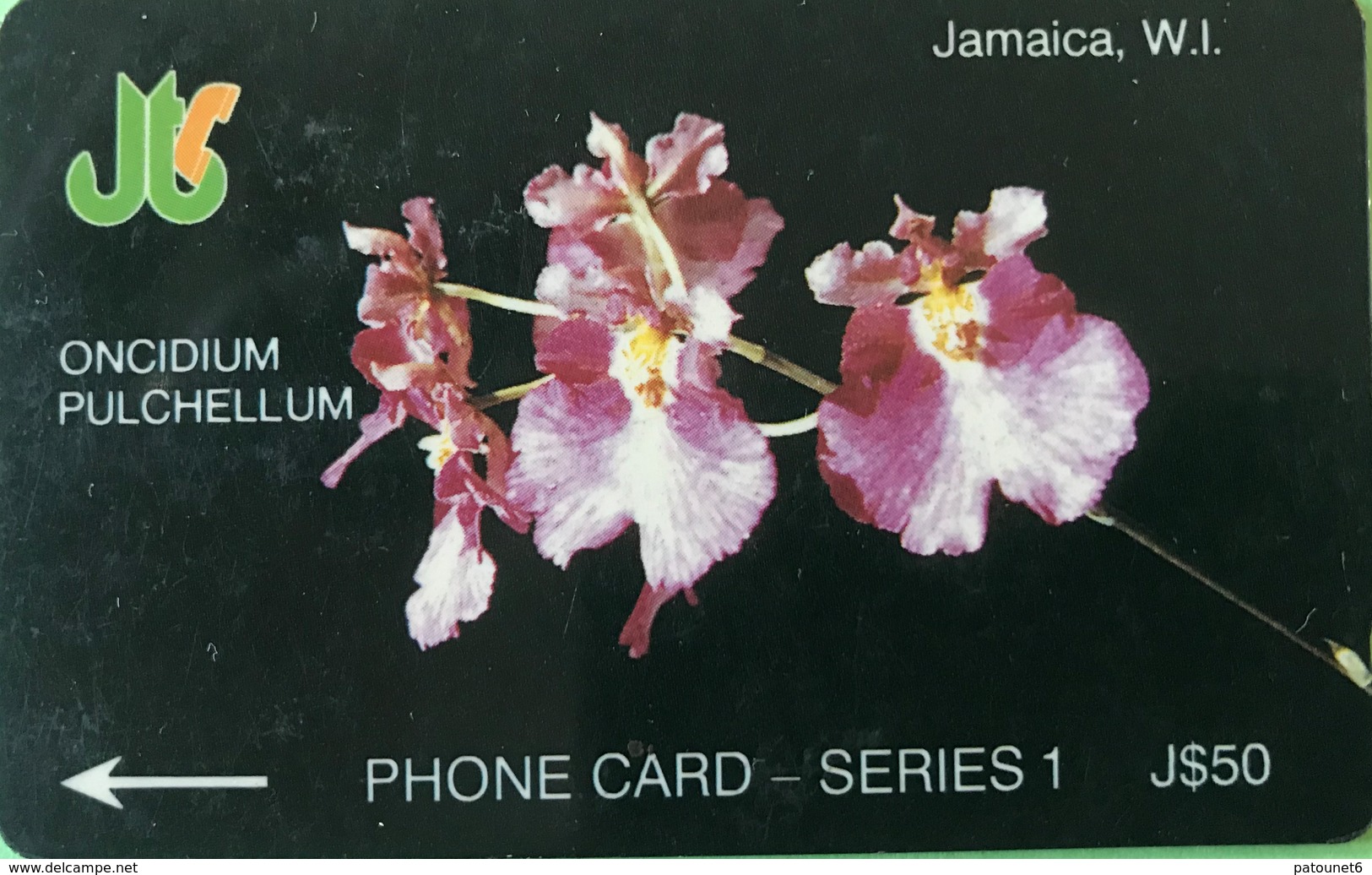 JAMAÏQUE  -  Phonecard  -  Oncidium Pulchellum  -  J $ 50 - Jamaica