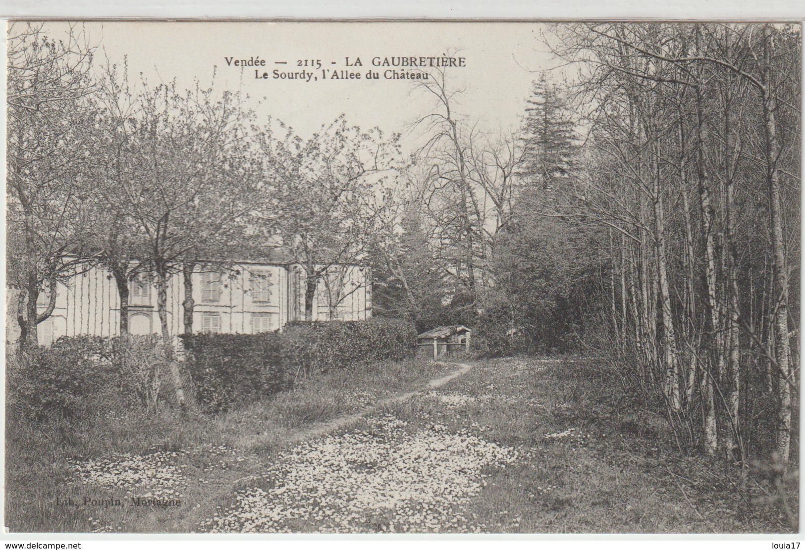 - La Gaubretière : Le Sourdy, L' Allée Du Chateau. - Otros & Sin Clasificación