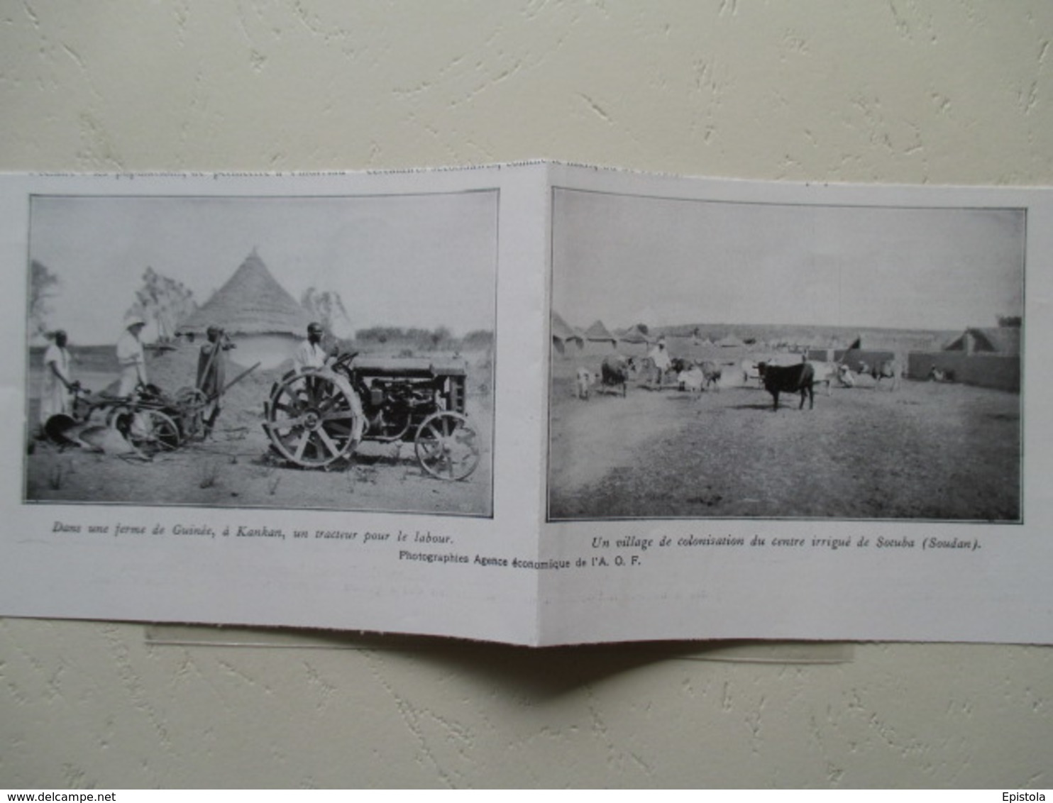 Guinée Française (Kanakan) -  Tracteur Colonial Français - Coupure De Presse De 1936 - Tracteurs