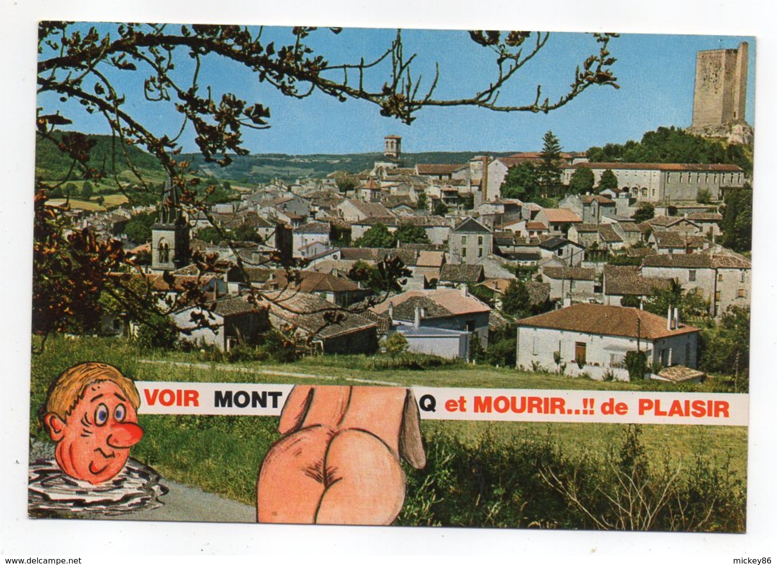 MONTCUQ--fantaisie Et Vue Générale  .......à Saisir - Montcuq