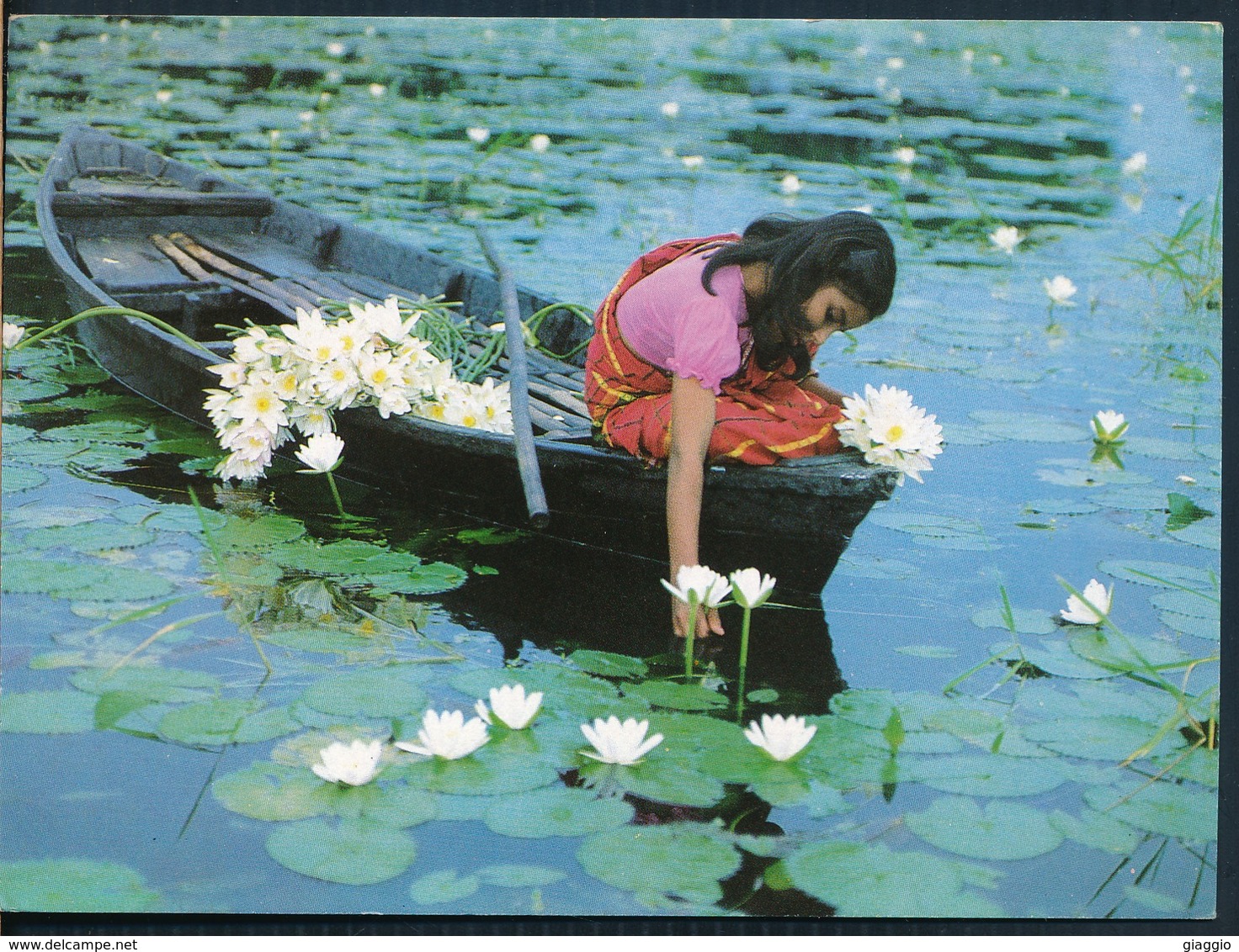 °°° 20463 - BANGLADESH - WATER LILY °°° - Bangladesh