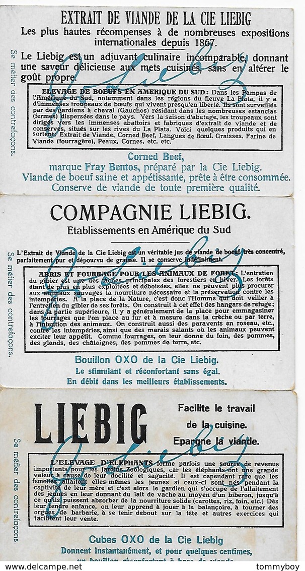 Liebig, Elevage Et Entretien D'animaux Utiles, 3 Chromo's - Liebig