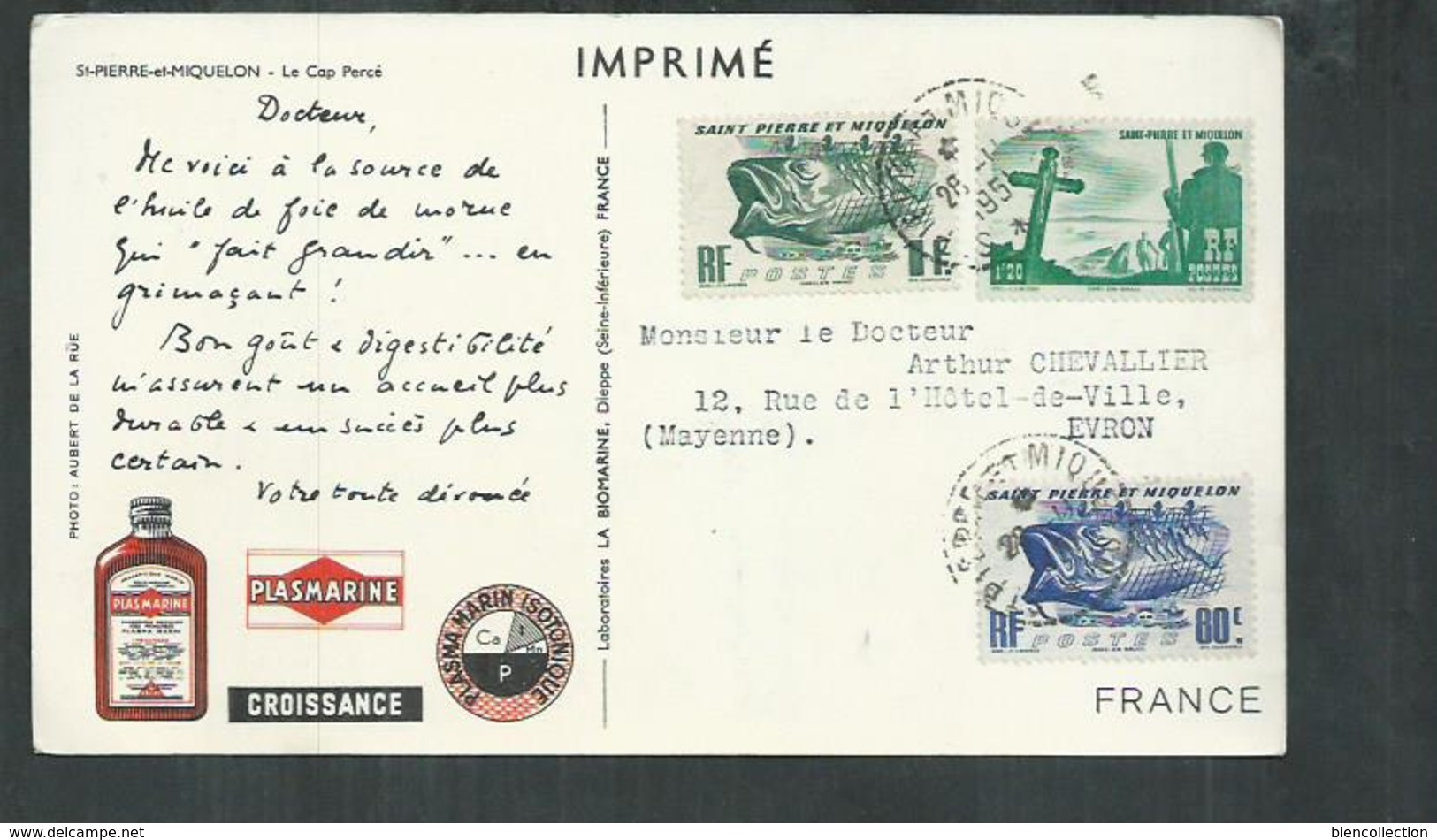 Saint Pierre Et Miquelon , Carte Plasmarine - Briefe U. Dokumente